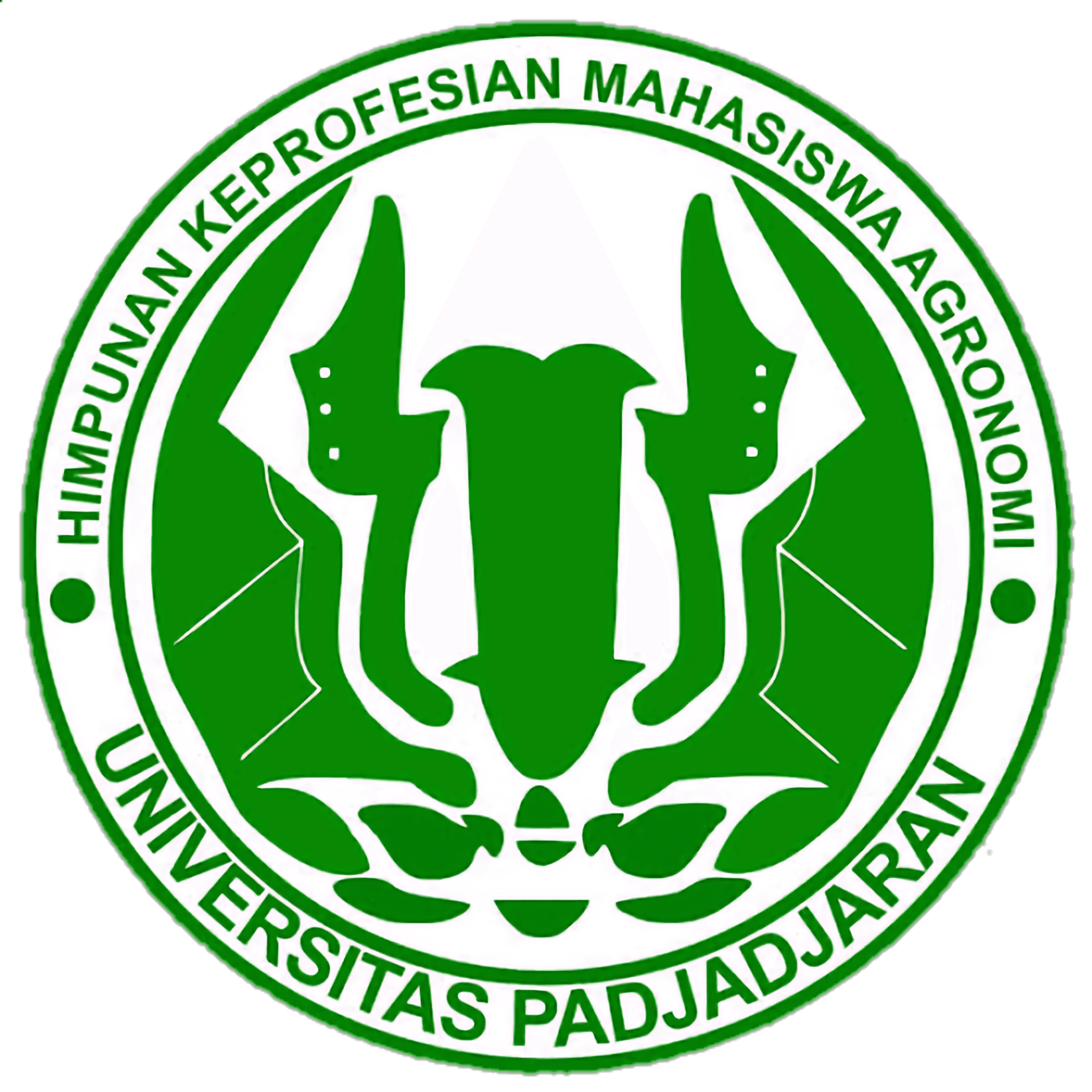 Media Partner 5